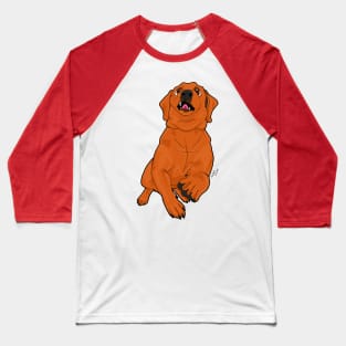 Fox Red Lab Baseball T-Shirt